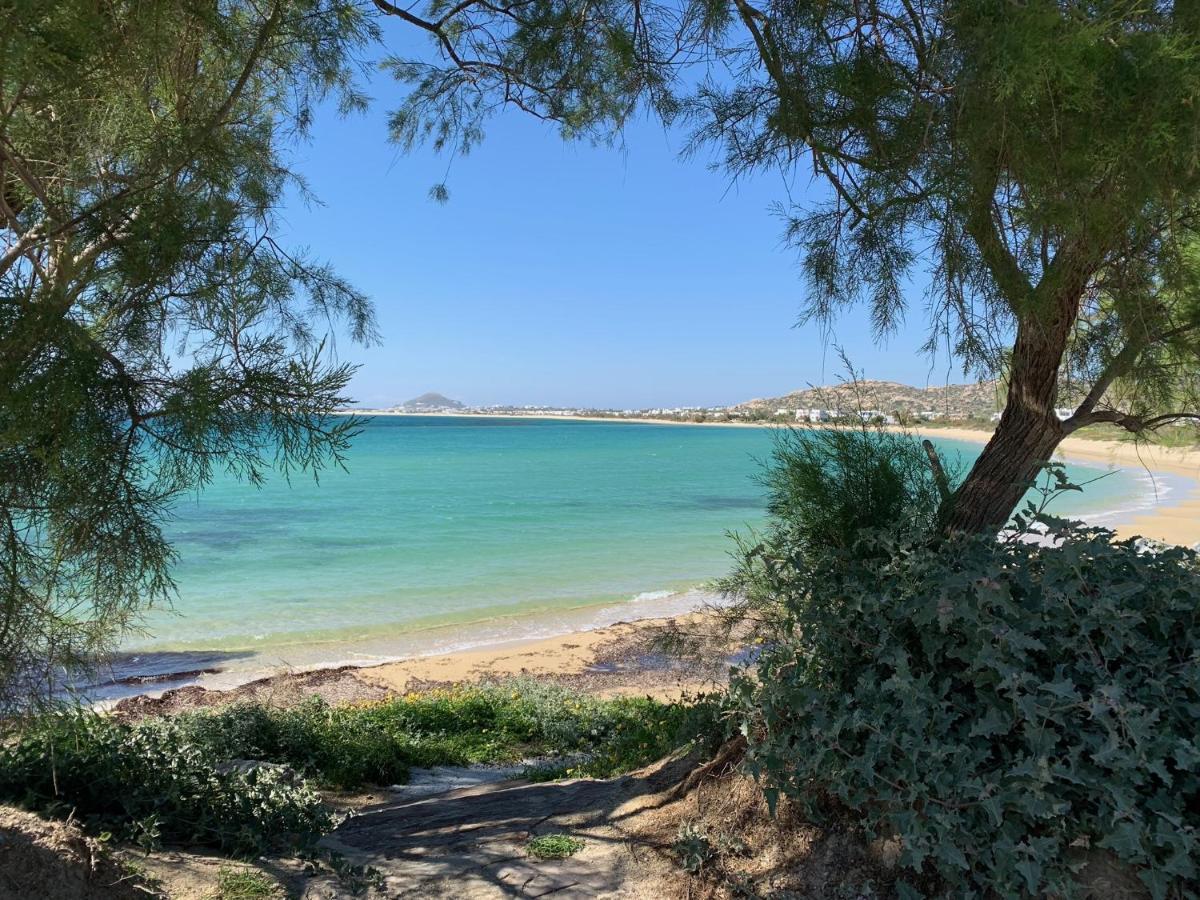 Villa Paradise In Naxos Pláka Zewnętrze zdjęcie