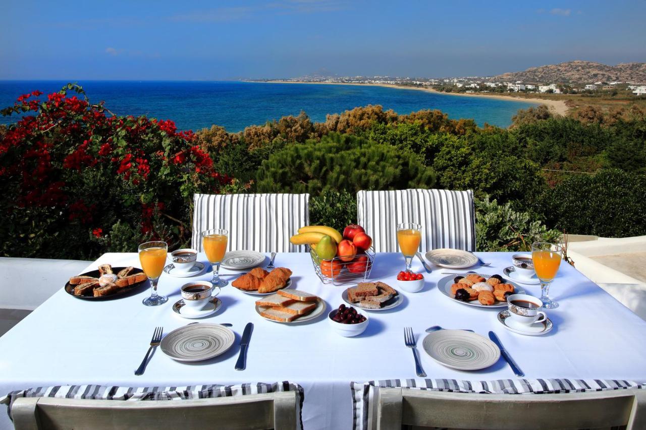 Villa Paradise In Naxos Pláka Zewnętrze zdjęcie