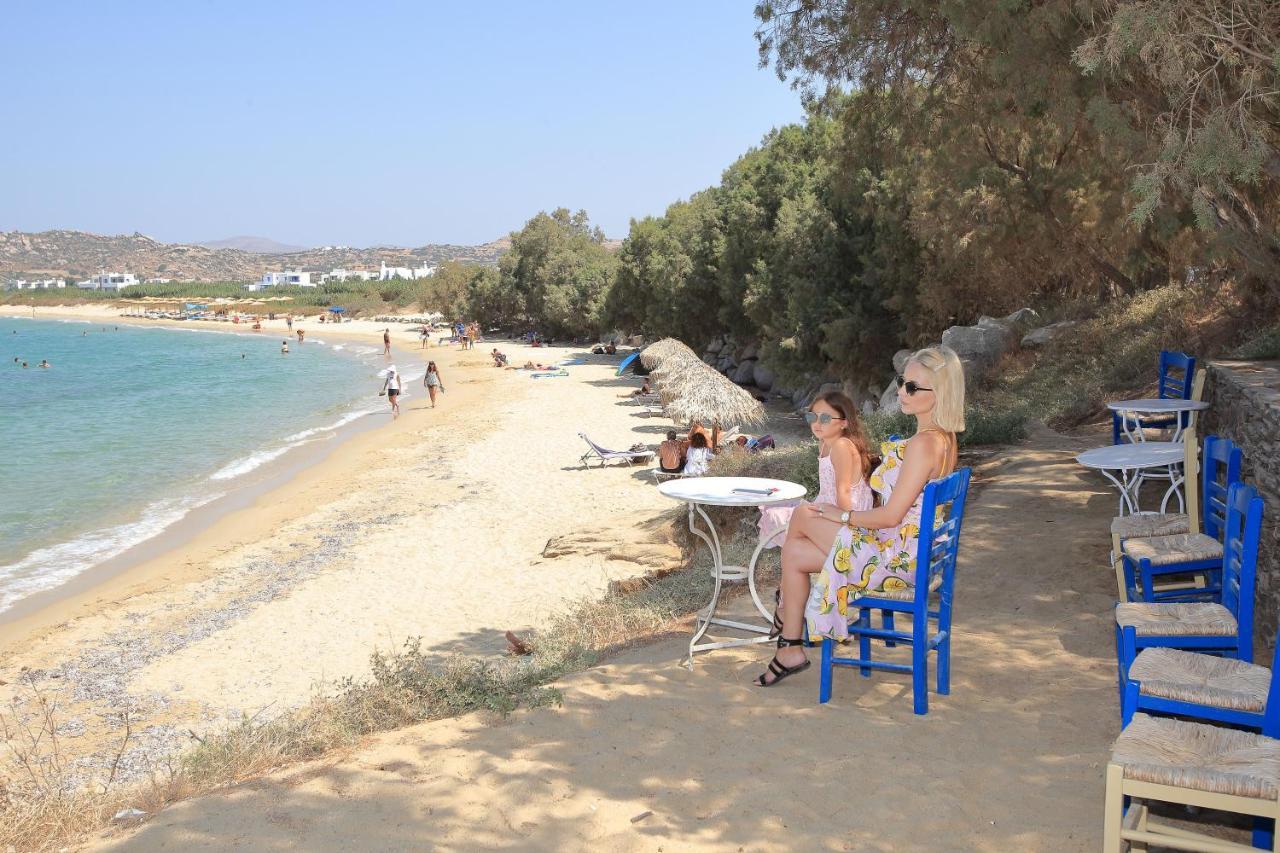 Villa Paradise In Naxos Pláka Zewnętrze zdjęcie